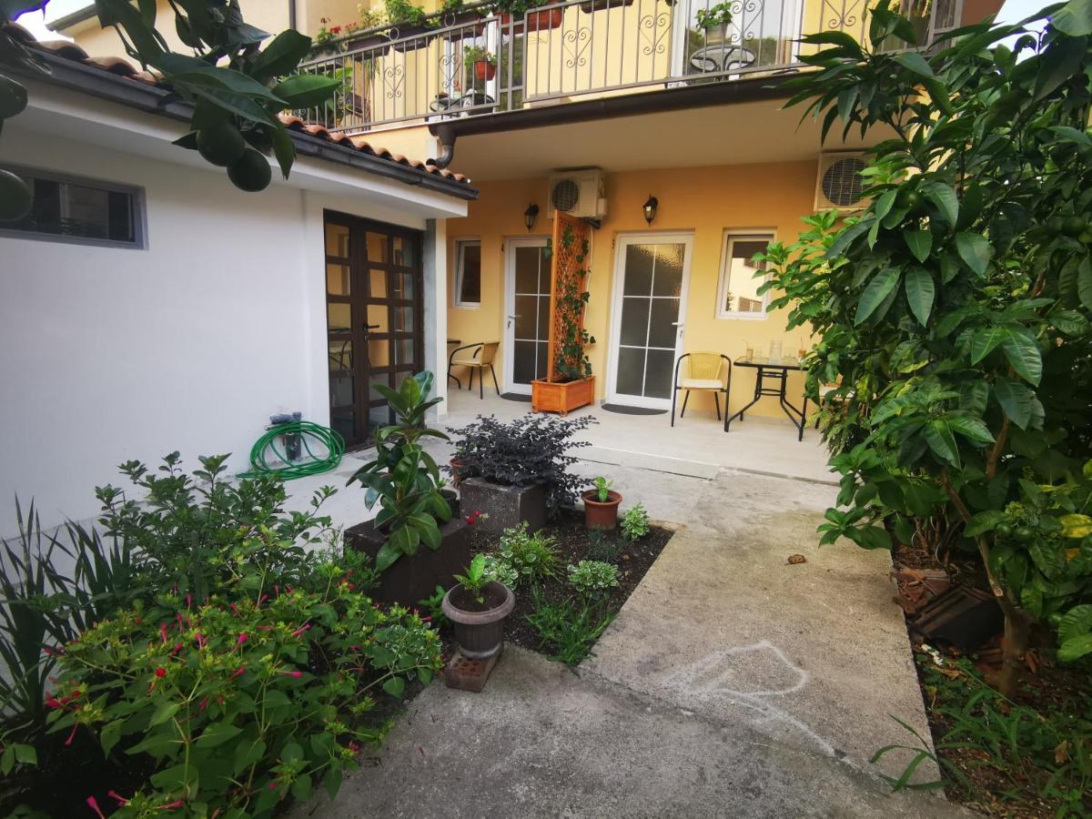 Radovic Apartments Budua Esterno foto